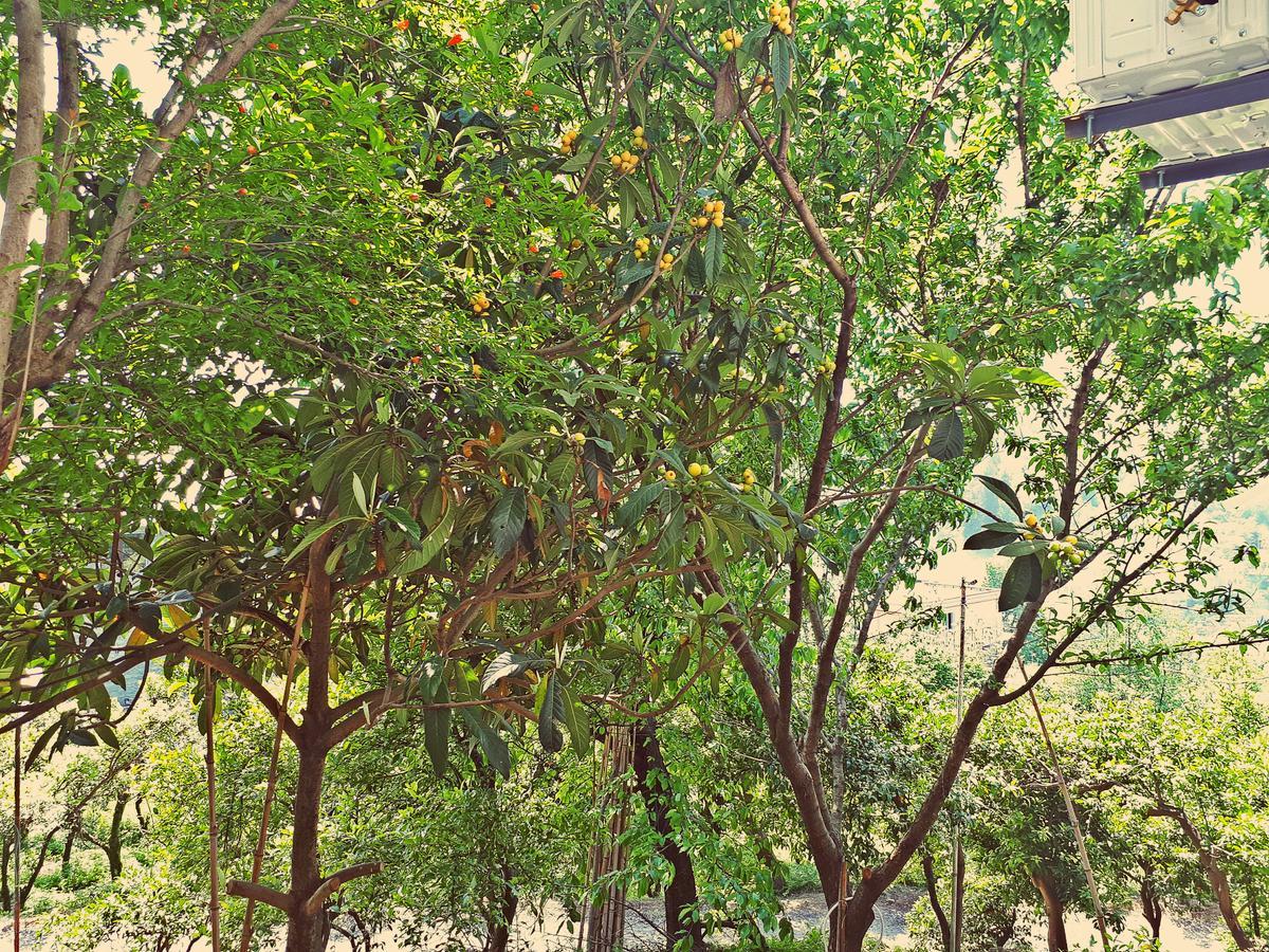 Apartments Sunset Paradise Makhinjauri Extérieur photo